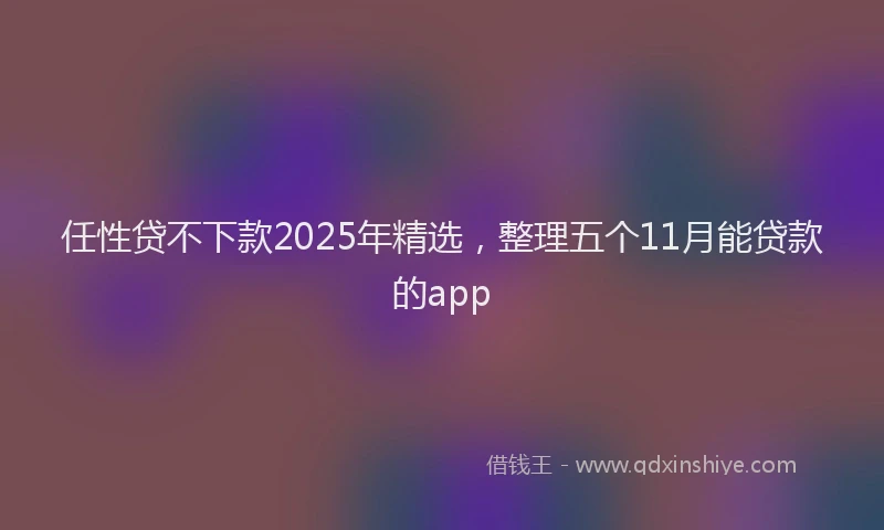 任性贷不下款2025年精选,整理五个11月能贷款的app
