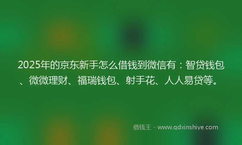 2025年的京东新手怎么借钱到微信有：智贷钱包、微微理财、福瑞钱包、射手花、人人易贷等。