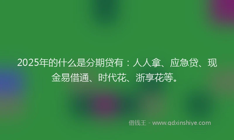 2025年的什么是分期贷有：人人拿、应急贷、现金易借通、时代花、浙享花等。