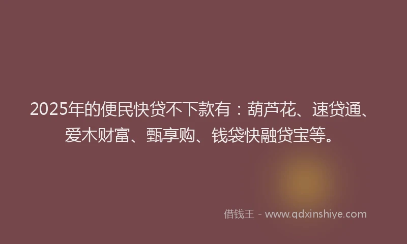 2025年的便民快贷不下款有：葫芦花、速贷通、爱木财富、甄享购、钱袋快融贷宝等。