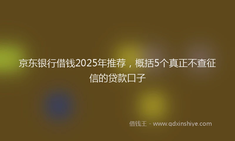 京东银行借钱2025年推荐，概括5个真正不查征信的贷款口子