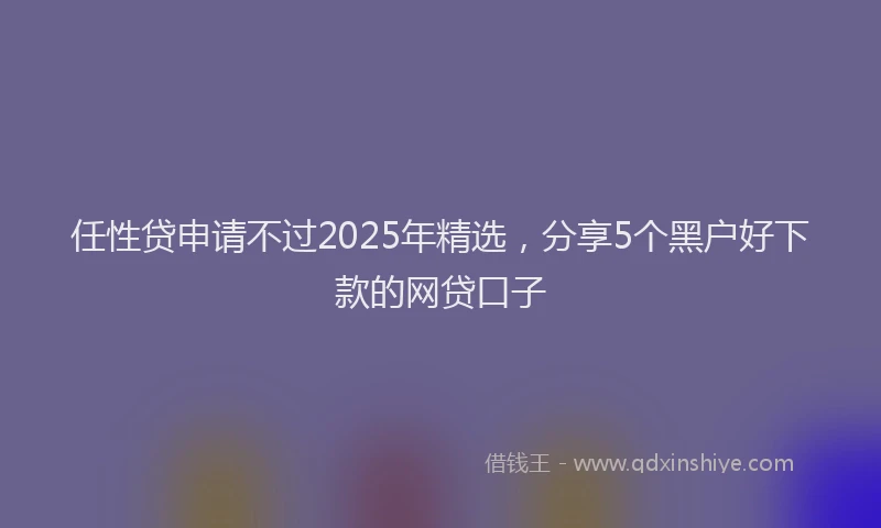 任性贷申请不过2025年精选，分享5个黑户好下款的网贷口子