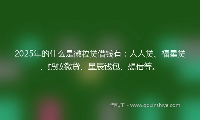 2025年的什么是微粒贷借钱有：人人贷、福星贷、蚂蚁微贷、星辰钱包、想借等。