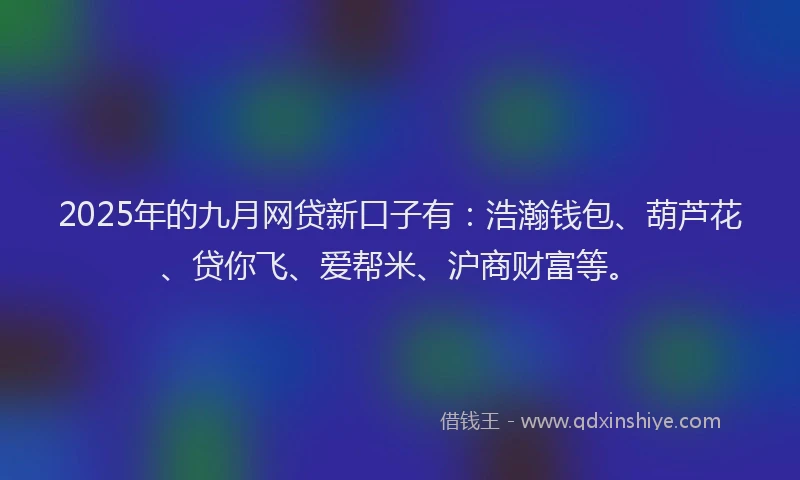 2025年的九月网贷新口子有：浩瀚钱包、葫芦花、贷你飞、爱帮米、沪商财富等。