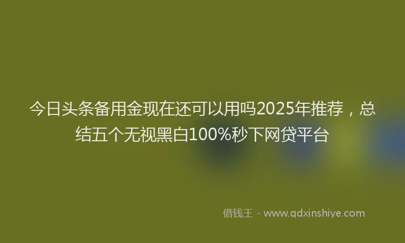 今日头条备用金现在还可以用吗2025年推荐，总结五个无视黑白100%秒下网贷平台