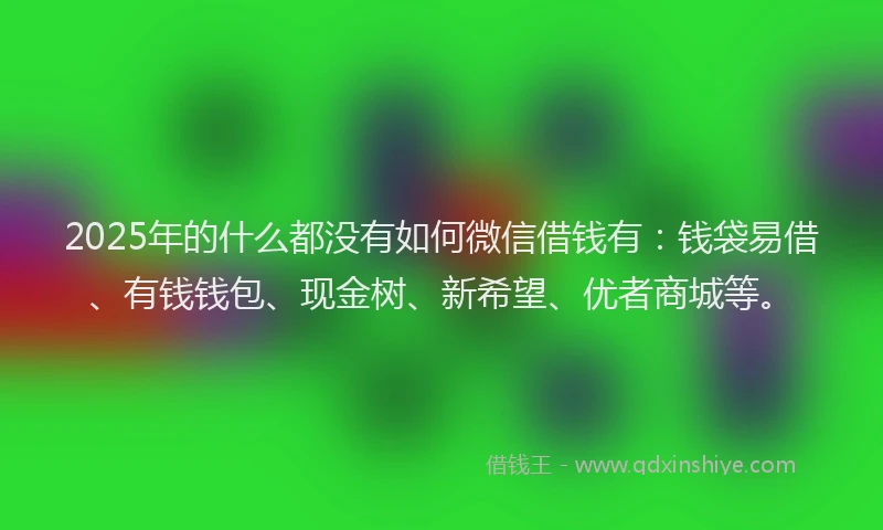 2025年的什么都没有如何微信借钱有：钱袋易借、有钱钱包、现金树、新希望、优者商城等。