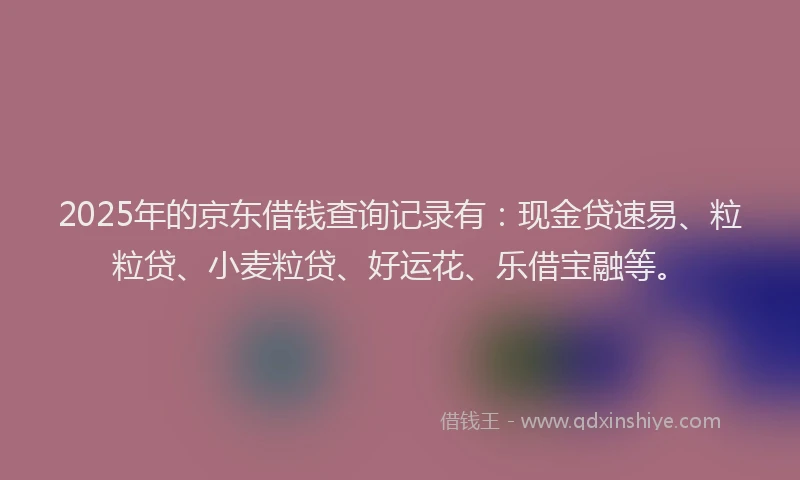 2025年的京东借钱查询记录有：现金贷速易、粒粒贷、小麦粒贷、好运花、乐借宝融等。