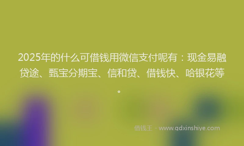 2025年的什么可借钱用微信支付呢有：现金易融贷途、甄宝分期宝、信和贷、借钱快、哈银花等。