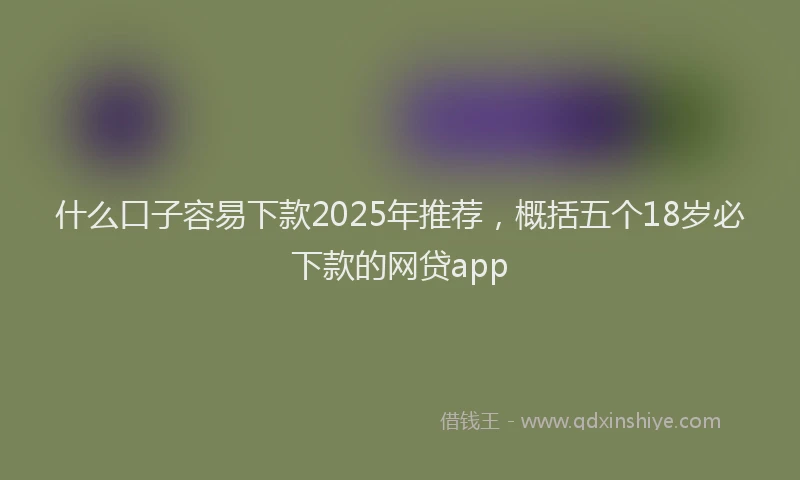 什么口子容易下款2025年推荐,概括五个18岁必下款的网贷app