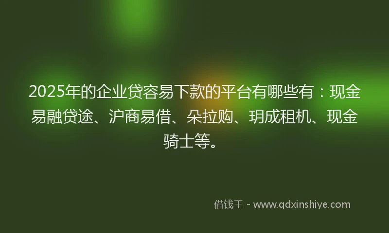 2025年的企业贷容易下款的平台有哪些有：现金易融贷途、沪商易借、朵拉购、玥成租机、现金骑士等。