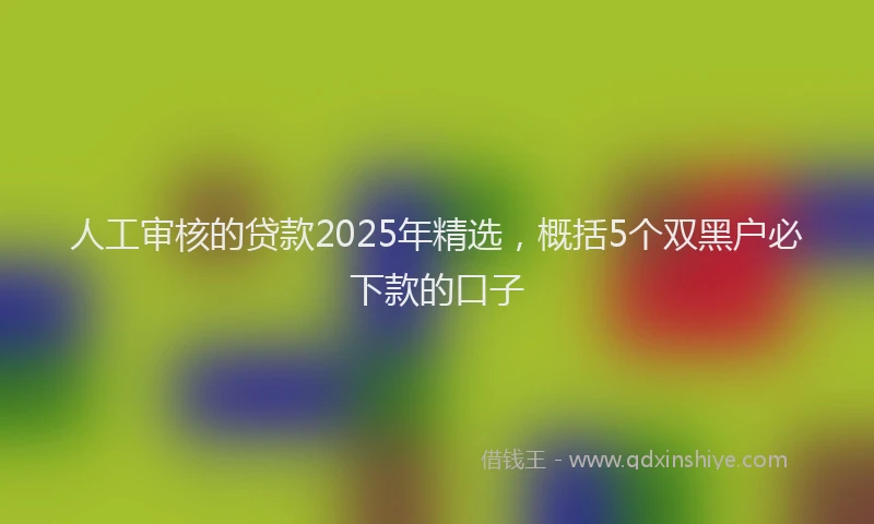 人工审核的贷款2025年精选，概括5个双黑户必下款的口子