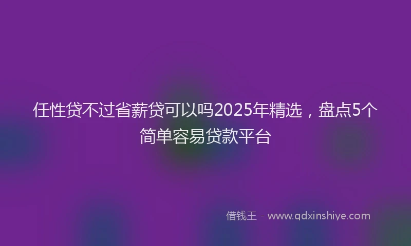 任性贷不过省薪贷可以吗2025年精选，盘点5个简单容易贷款平台