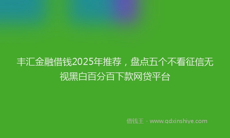 丰汇金融借钱2025年推荐，盘点五个不看征信无视黑白百分百下款网贷平台