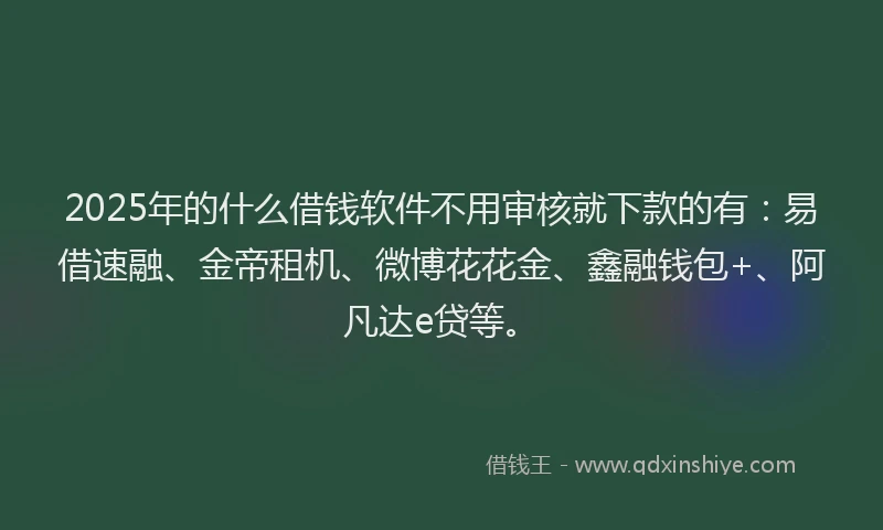2025年的什么借钱软件不用审核就下款的有:易借速融、金帝租机、微博花花金、鑫融钱包+、阿凡达e贷等。