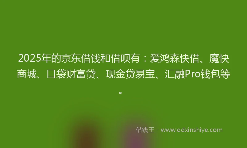 2025年的京东借钱和借呗有：爱鸿森快借、魔快商城、口袋财富贷、现金贷易宝、汇融Pro钱包等。