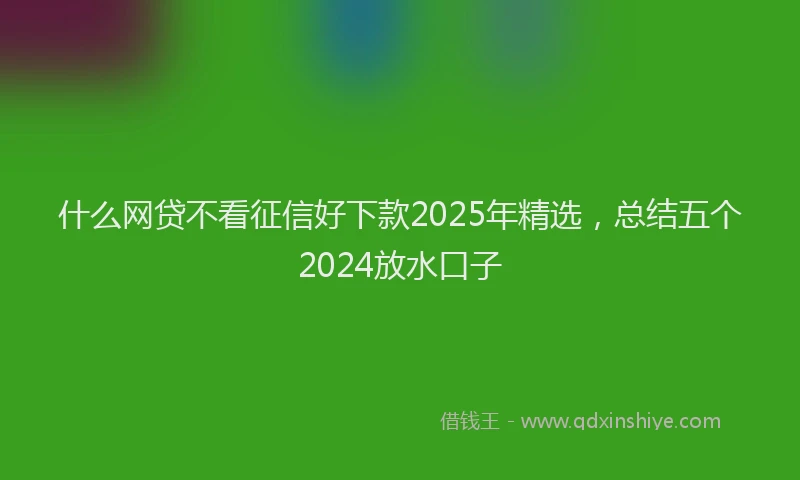 什么网贷不看征信好下款2025年精选,总结五个2024放水口子