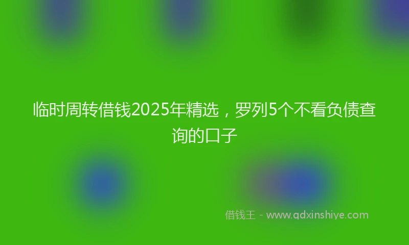 临时周转借钱2025年精选,罗列5个不看负债查询的口子