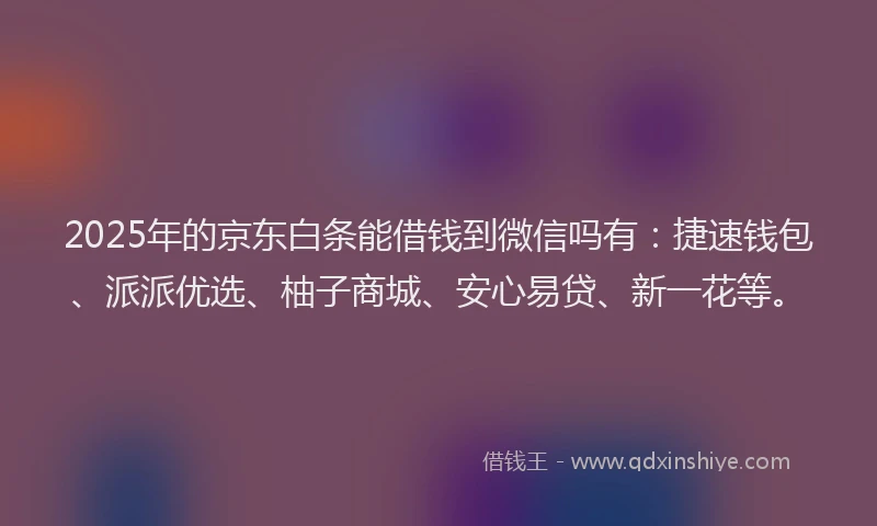 2025年的京东白条能借钱到微信吗有：捷速钱包、派派优选、柚子商城、安心易贷、新一花等。
