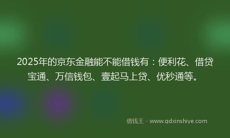 2025年的京东金融能不能借钱有：便利花、借贷宝通、万信钱包、壹起马上贷、优秒通等。
