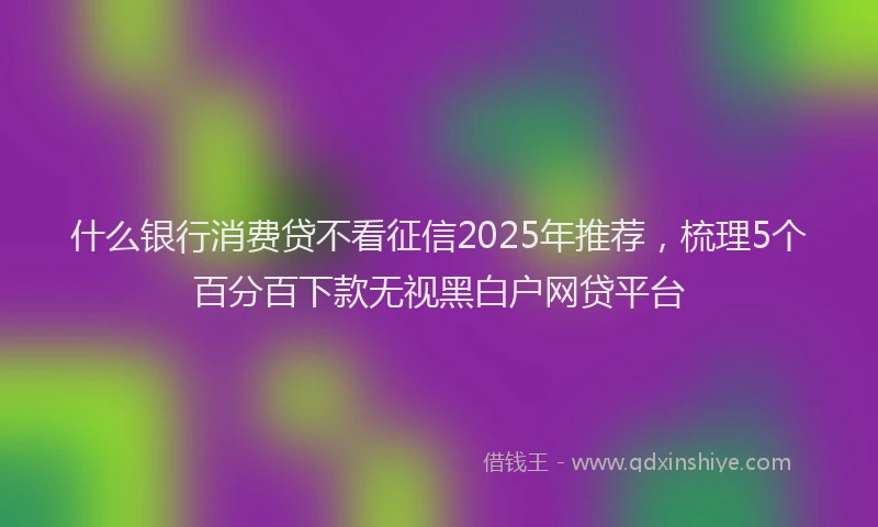 什么银行消费贷不看征信2025年推荐，梳理5个百分百下款无视黑白户网贷平台