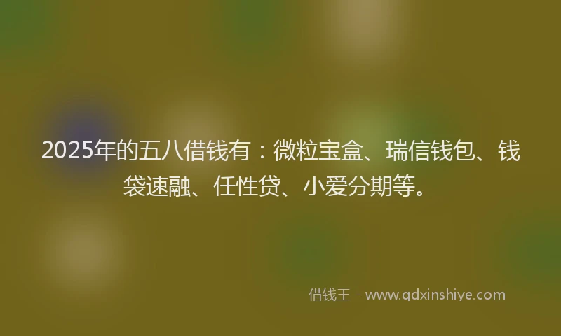 2025年的五八借钱有：微粒宝盒、瑞信钱包、钱袋速融、任性贷、小爱分期等。