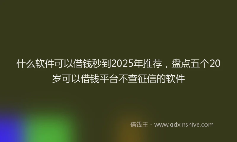 什么软件可以借钱秒到2025年推荐，盘点五个20岁可以借钱平台不查征信的软件