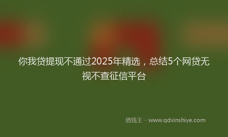 你我贷提现不通过2025年精选,总结5个网贷无视不查征信平台