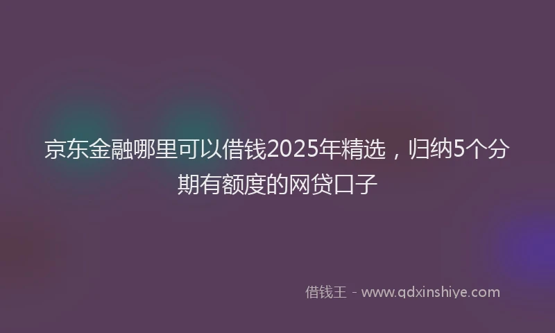 京东金融哪里可以借钱2025年精选，归纳5个分期有额度的网贷口子