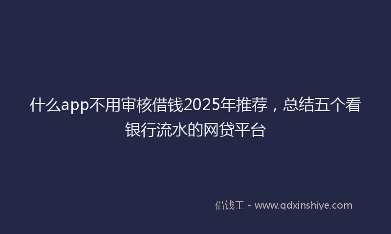 什么app不用审核借钱2025年推荐，总结五个看银行流水的网贷平台