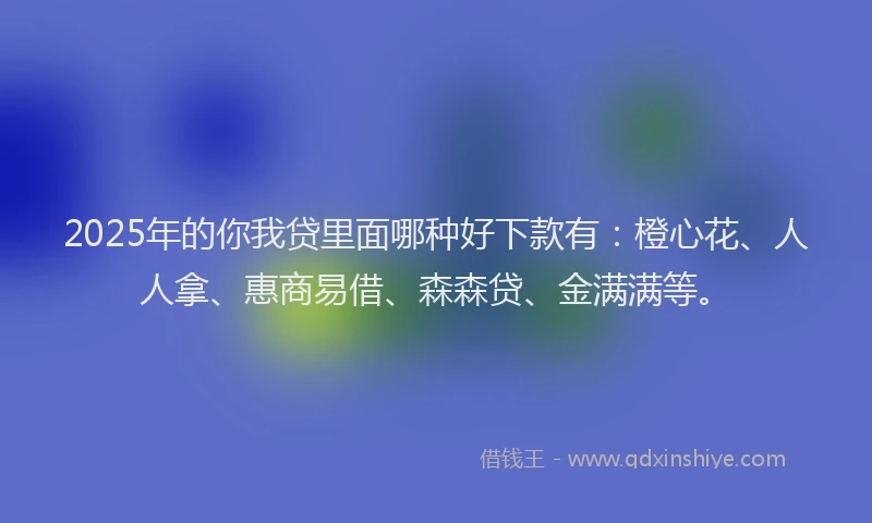 2025年的你我贷里面哪种好下款有：橙心花、人人拿、惠商易借、森森贷、金满满等。