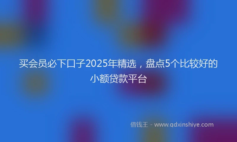 买会员必下口子2025年精选，盘点5个比较好的小额贷款平台