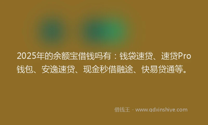 2025年的余额宝借钱吗有:钱袋速贷、速贷Pro钱包、安逸速贷、现金秒借融途、快易贷通等。