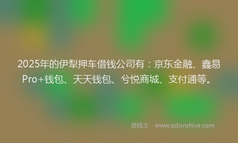 2025年的伊犁押车借钱公司有:京东金融、鑫易Pro+钱包、天天钱包、兮悦商城、支付通等。