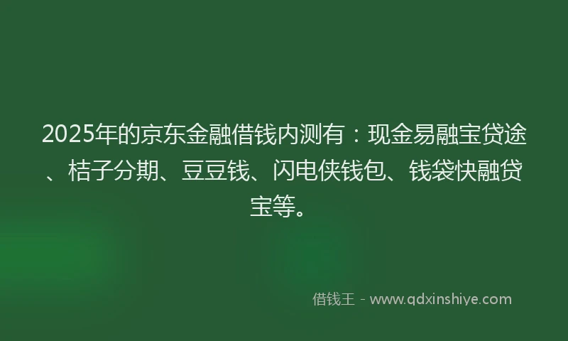 2025年的京东金融借钱内测有:现金易融宝贷途、桔子分期、豆豆钱、闪电侠钱包、钱袋快融贷宝等。