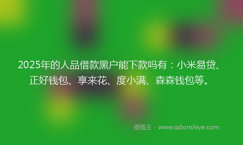 2025年的人品借款黑户能下款吗有：小米易贷、正好钱包、享来花、度小满、森森钱包等。