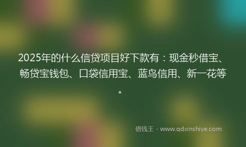 2025年的什么信贷项目好下款有：现金秒借宝、畅贷宝钱包、口袋信用宝、蓝鸟信用、新一花等。