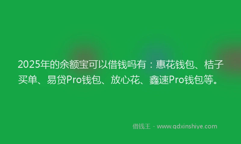 2025年的余额宝可以借钱吗有:惠花钱包、桔子买单、易贷Pro钱包、放心花、鑫速Pro钱包等。