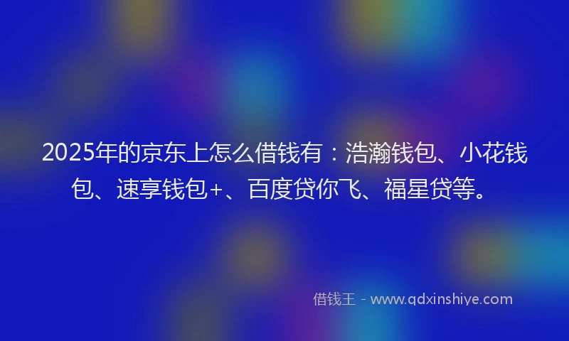 2025年的京东上怎么借钱有：浩瀚钱包、小花钱包、速享钱包+、百度贷你飞、福星贷等。