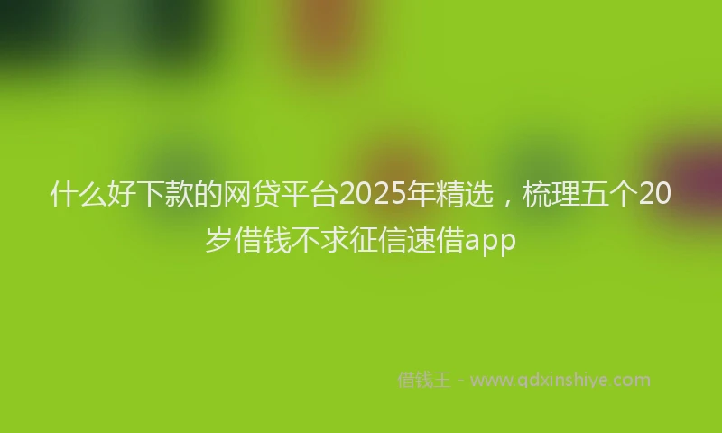 什么好下款的网贷平台2025年精选,梳理五个20岁借钱不求征信速借app