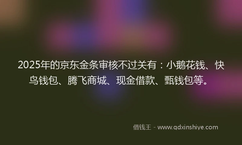 2025年的京东金条审核不过关有：小鹅花钱、快鸟钱包、腾飞商城、现金借款、甄钱包等。
