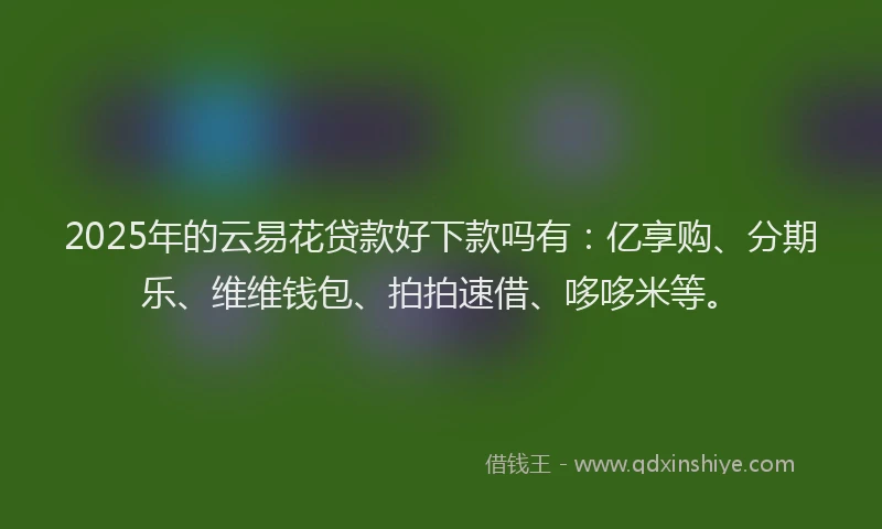 2025年的云易花贷款好下款吗有：亿享购、分期乐、维维钱包、拍拍速借、哆哆米等。