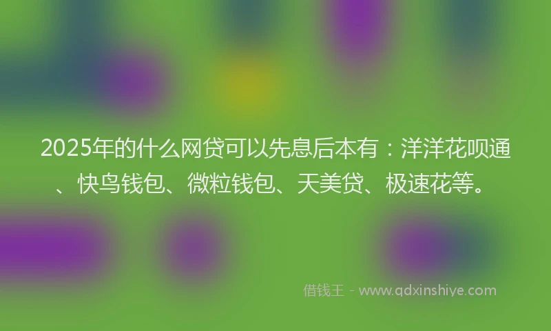 2025年的什么网贷可以先息后本有：洋洋花呗通、快鸟钱包、微粒钱包、天美贷、极速花等。