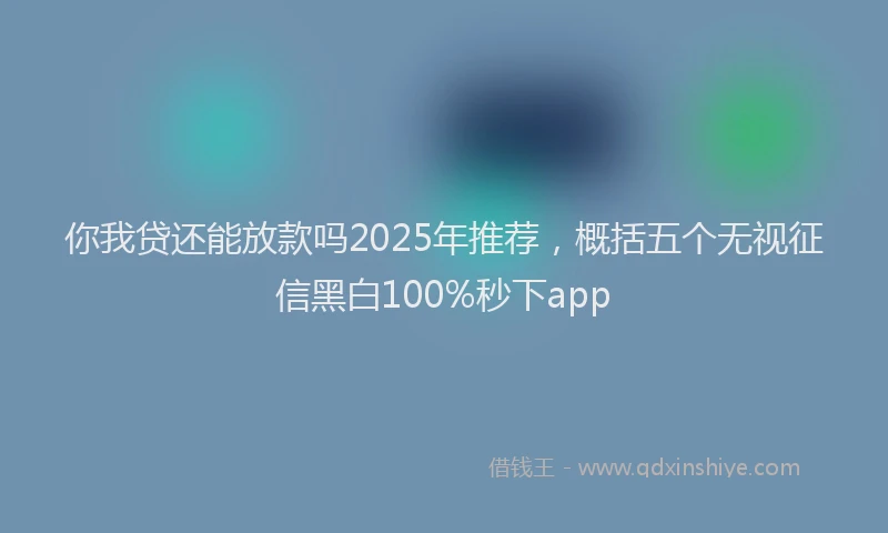 你我贷还能放款吗2025年推荐，概括五个无视征信黑白100%秒下app