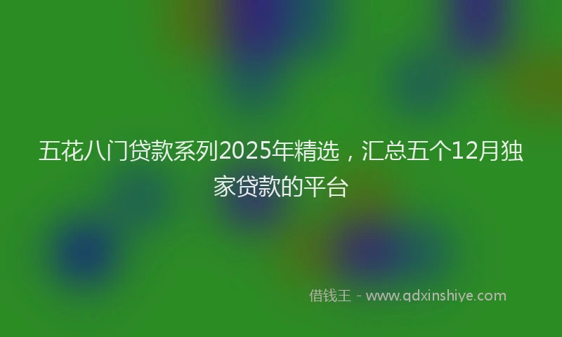 五花八门贷款系列2025年精选，汇总五个12月独家贷款的平台
