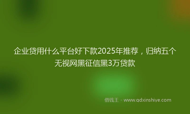 企业贷用什么平台好下款2025年推荐，归纳五个无视网黑征信黑3万贷款