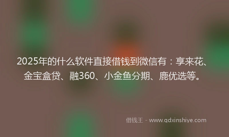 2025年的什么软件直接借钱到微信有：享来花、金宝盒贷、融360、小金鱼分期、鹿优选等。
