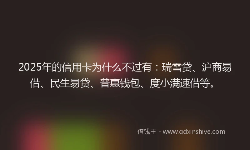 2025年的信用卡为什么不过有：瑞雪贷、沪商易借、民生易贷、普惠钱包、度小满速借等。