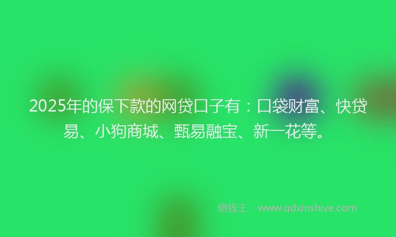 2025年的保下款的网贷口子有：口袋财富、快贷易、小狗商城、甄易融宝、新一花等。