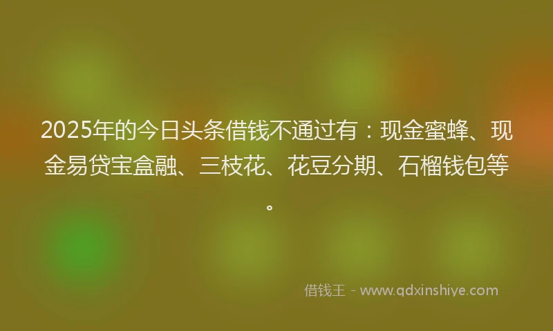 2025年的今日头条借钱不通过有:现金蜜蜂、现金易贷宝盒融、三枝花、花豆分期、石榴钱包等。
