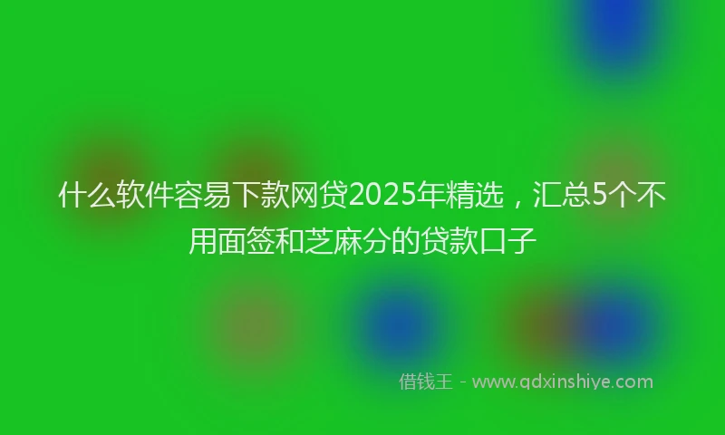 什么软件容易下款网贷2025年精选，汇总5个不用面签和芝麻分的贷款口子